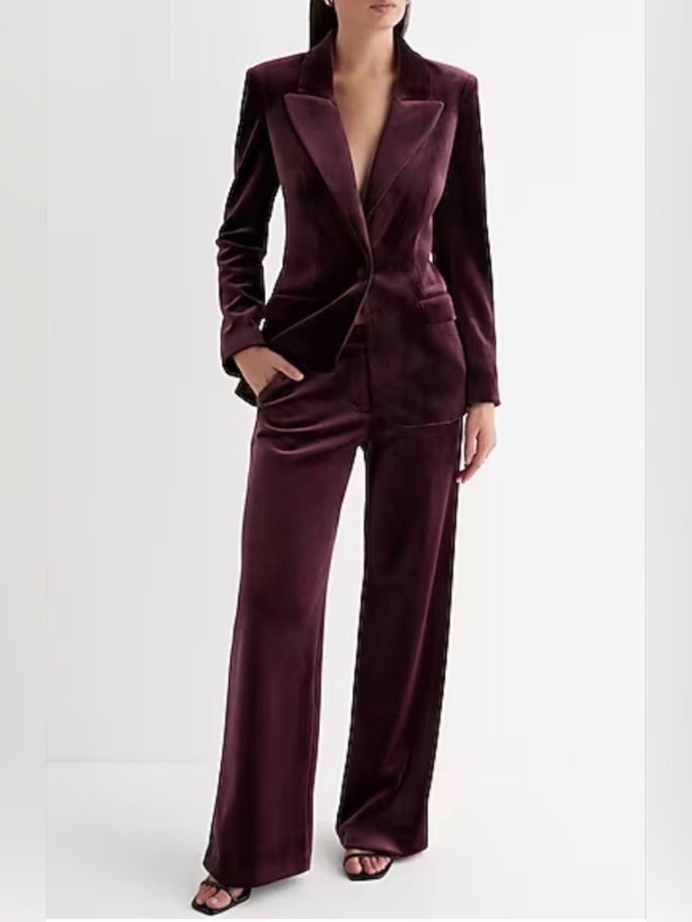 NWT EXPRESS Editor Mid Rise Velvet Relaxed Trouser Pant